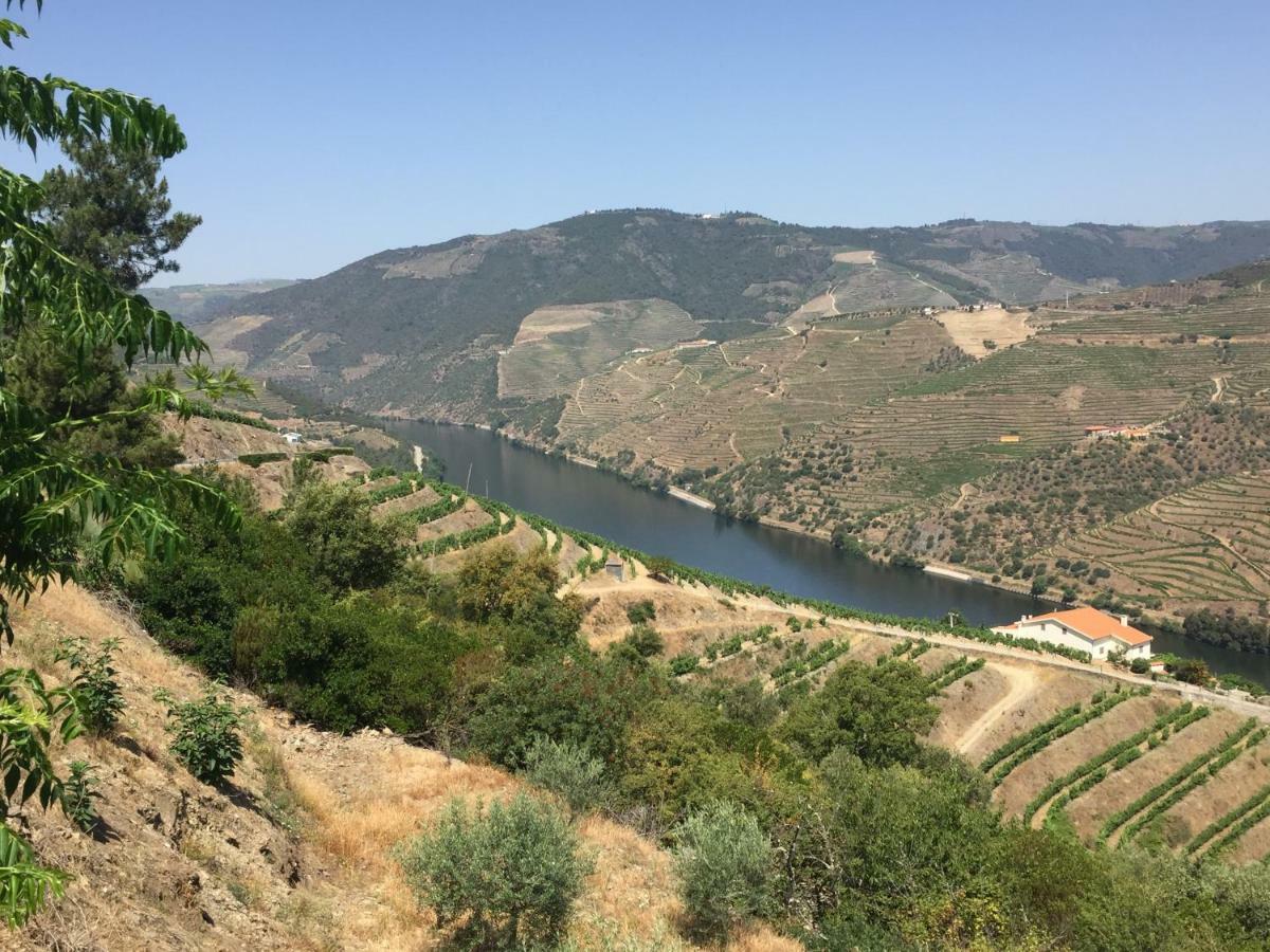 Barcos Refugio D'Anita Douro Valley House מראה חיצוני תמונה